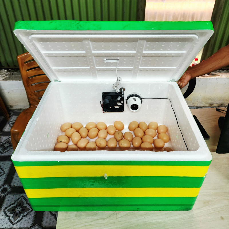 70 Egg Semiauto Incubator AC - কোয়েল পাখি কবুতরের জন্য হাঁস মুরগির বাচ্চা ফুটানোর মেশিন { ৭০ ডিমের মেশিন }