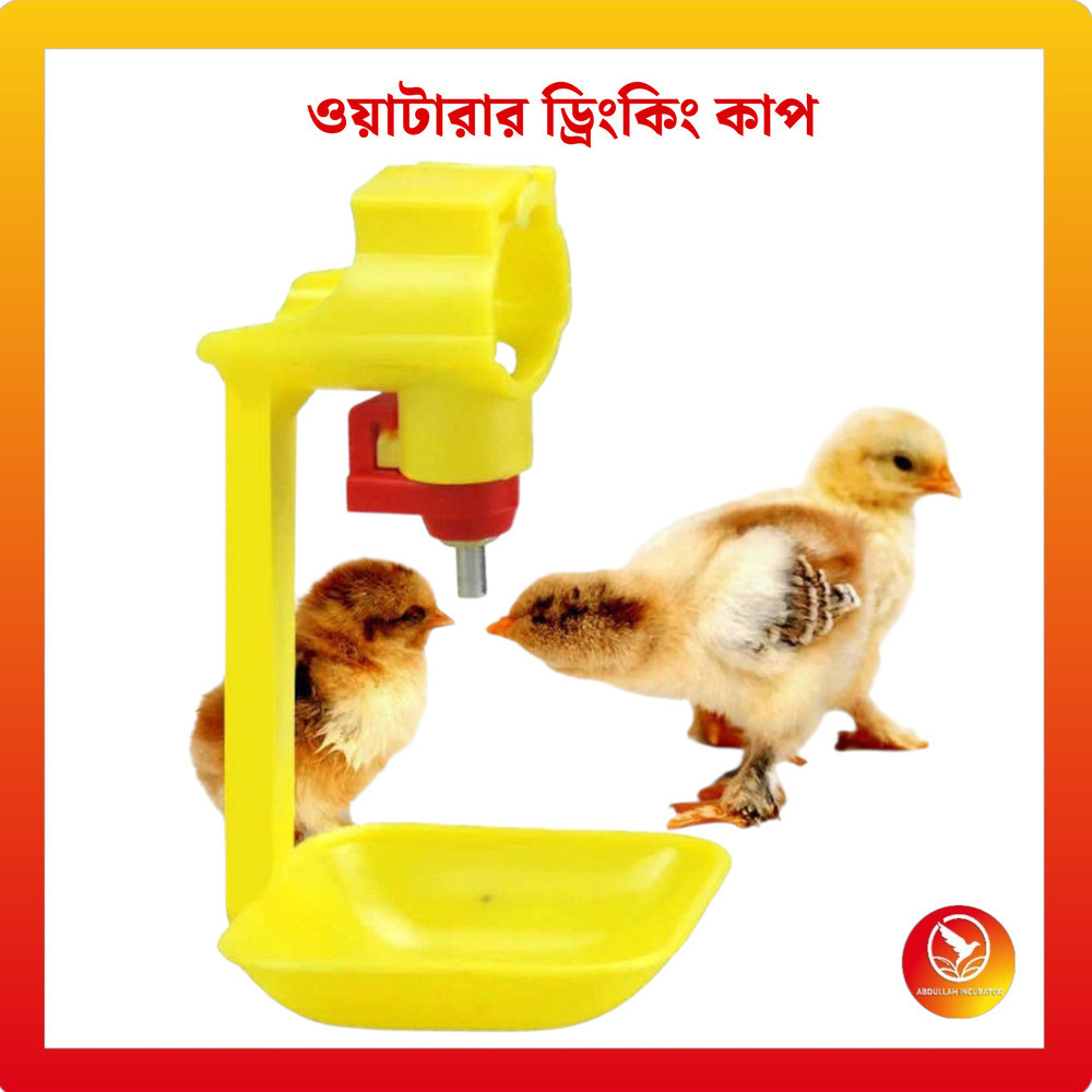পোল্ট্রি ওয়াটারার ড্রিংকিং কাপ মুরগি, হাঁস, কোয়েল এবং অন্যান্য হাঁস-মুরগির জন্য স্বয়ংক্রিয় ড্রিংকিং সলিউশন। এই ওয়াটার কাপগুলি পরিষ্কার এবং অবিচ্ছিন্ন জল সরবরাহ করার জন্য ডিজাইন করা হয়েছে, যা জলে