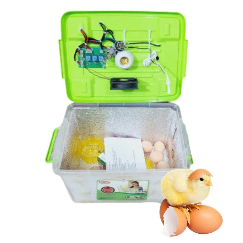 incubator egg price incubator egg incubator machine incubator price in Bangladesh
