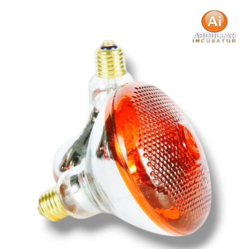 Infrared Bulb Heat Lamp 250watt with Holder  price in bangladesh