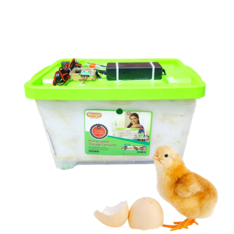 40 Capacity Manual AC + DC Egg Incubator