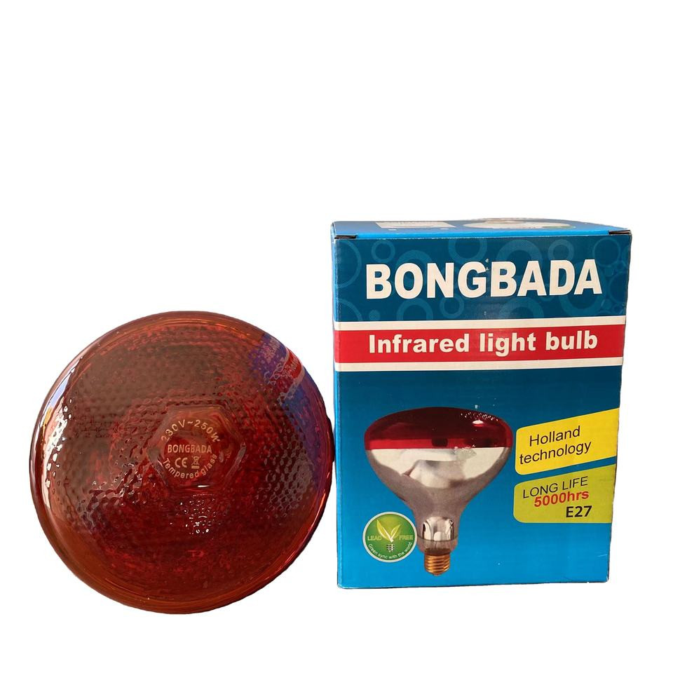 Infrared Bulb Heat Lamp 250watt with Holder  price in bangladesh