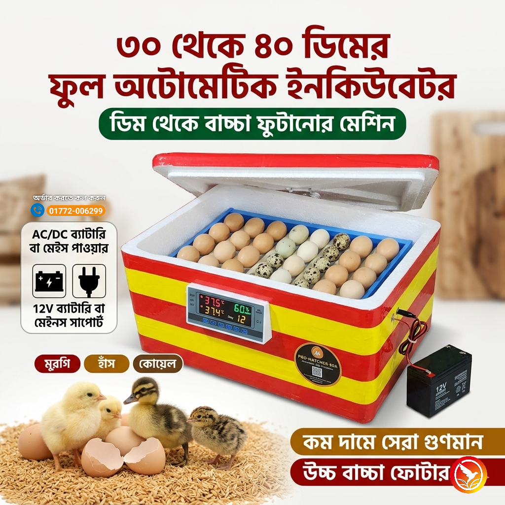 ৩০-৪০ ডিমের অটো ইনকিউবেটর মেশিন – 30-40 Egg Auto Hatching Incubator Machine [ AC/DC-W-3001 ]