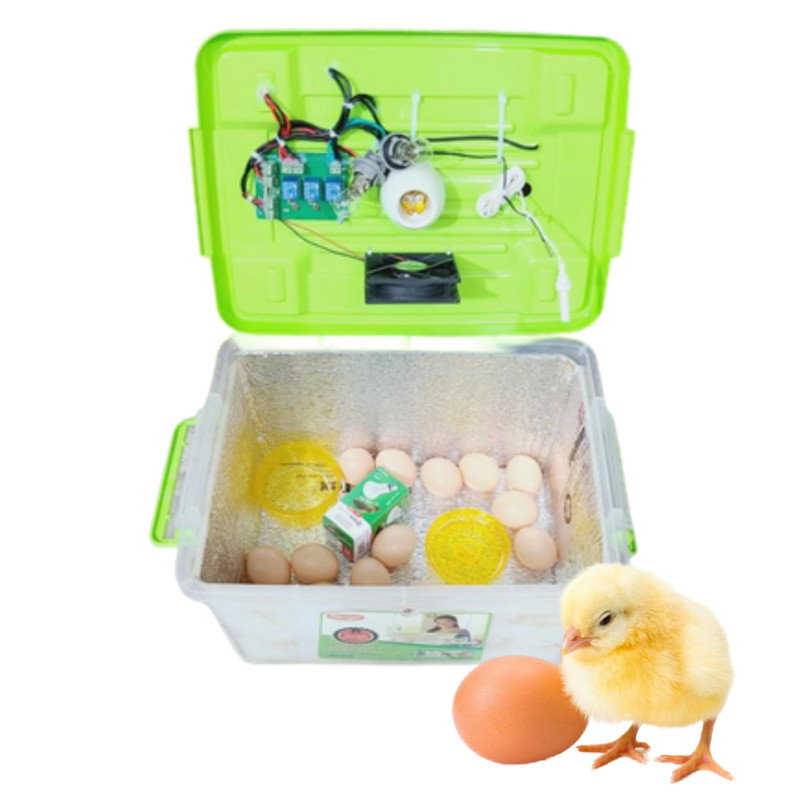 incubator egg price incubator egg incubator machine incubator price in Bangladesh