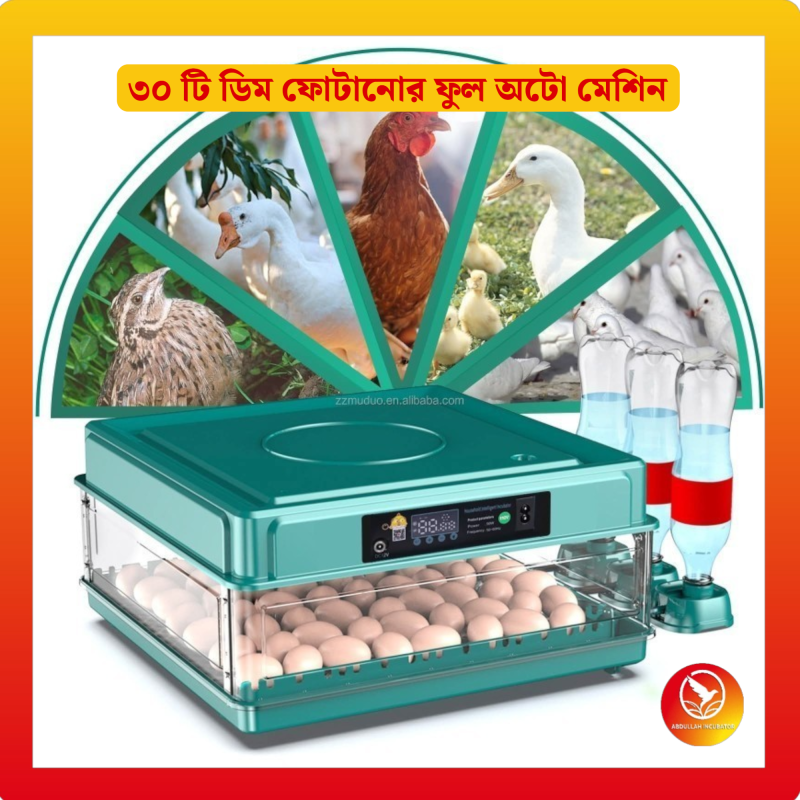 Egg Automatic Incubator ডিমের স্বয়ংক্রিয় ইনকিউবেটর ২৪-৩০ টি ডিম ফুটানোর জন্য স্বয়ংক্রিয় বুদ্ধিমান ইনকিউবেটর, মুরগি হাঁস হাঁস কোয়েল পাখি কবুতরের জন্য হাঁস-মুরগির বাচ্চা ফুটানোর মেশিন