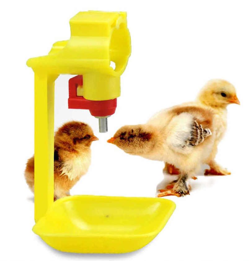 1 pcs Poultry Waterer Drinking Cups For Chicken  price in bangladesh