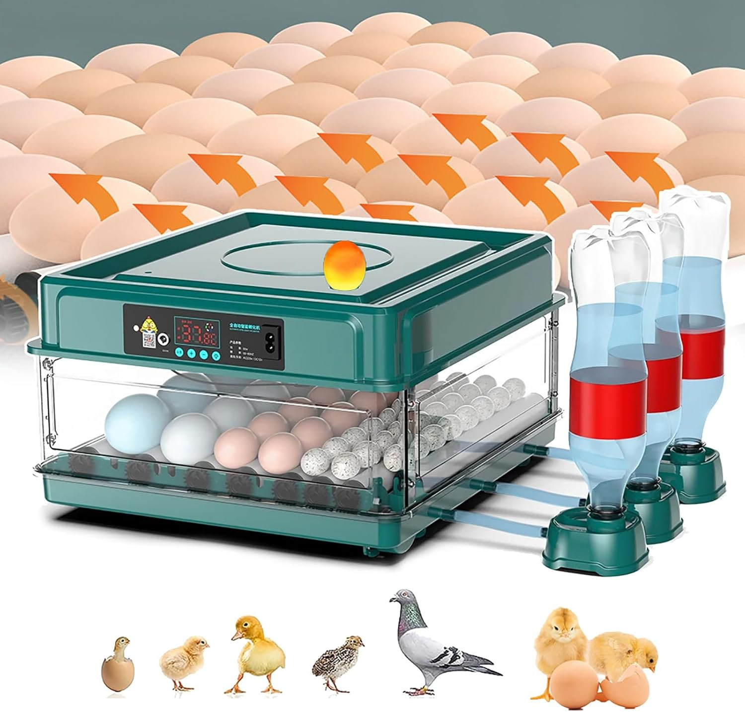 Egg Automatic Incubator ডিমের স্বয়ংক্রিয় ইনকিউবেটর ২৪-৩০ টি ডিম ফুটানোর জন্য স্বয়ংক্রিয় বুদ্ধিমান ইনকিউবেটর, মুরগি হাঁস হাঁস কোয়েল পাখি কবুতরের জন্য হাঁস-মুরগির বাচ্চা ফুটানোর মেশিন
