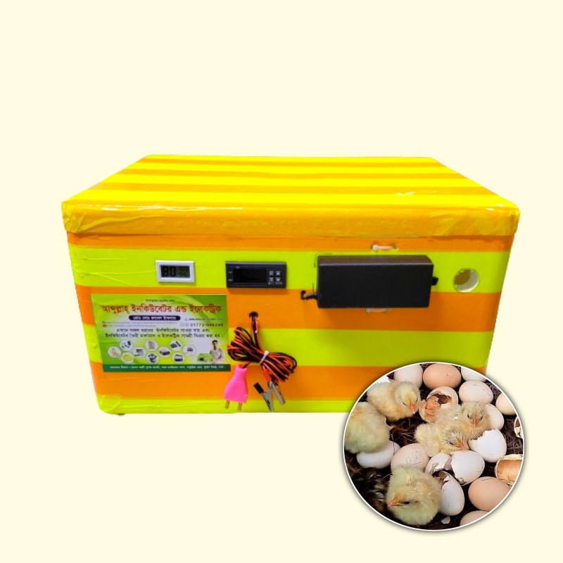 70 Capacity AC + DC Egg Incubator - ইনকিউবেটর মেশিন - ইনকিউবেটর কি - যে তাপমাত্রায় ইনকিউবেটরে ডিম ফুটে  - ডিম ফোটানোর মেশিন দাম - ডিম ফোটানোর মেশিনের দাম