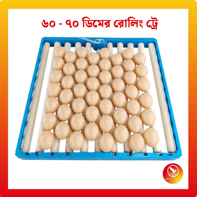 OUCHEN উচ্চ মানের 60 - 70 রোলিং ট্রে সরবরাহকারী প্লাস্টিক ডিম ট্রে তৈরির মেশিন ইনকিউবেটর ডিম ট্রে মোটর 220V সহ