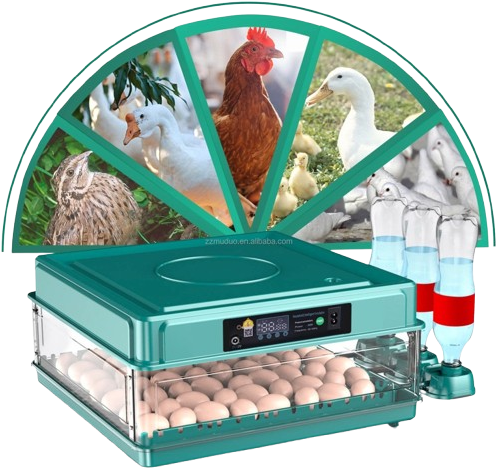 Best Egg Incubator